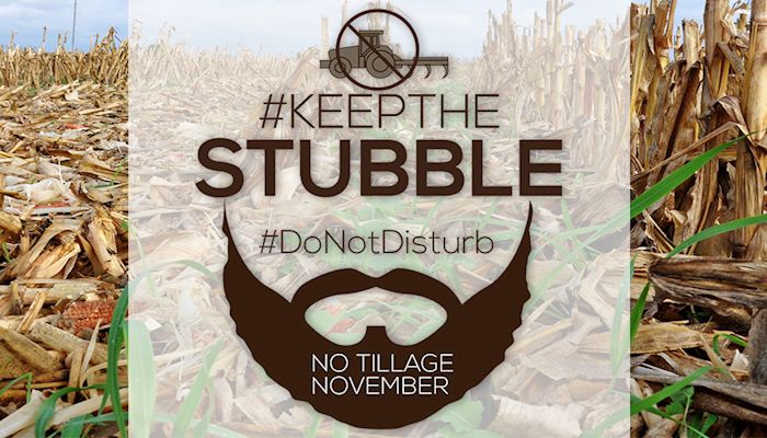“No tillage November” campaign urges farmers to leave the stubble