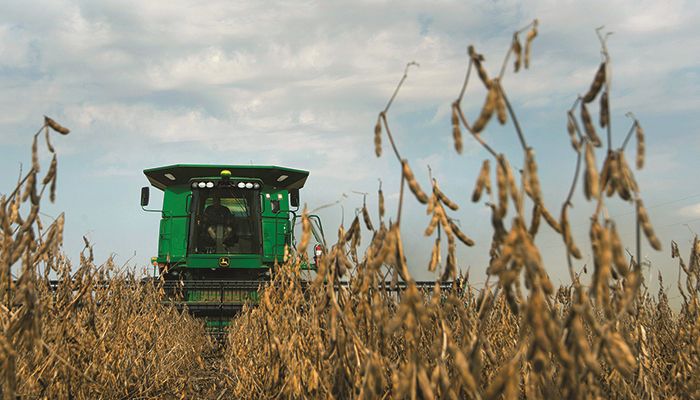 Making the last push on soy harvest