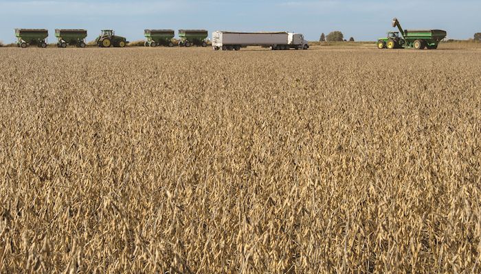 November 2017 Soybean Futures and Crop Insurance Prices