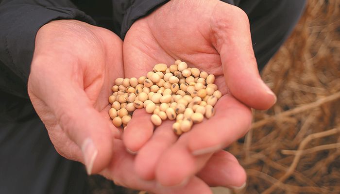 Soybean futures price relationships - 11/29/17