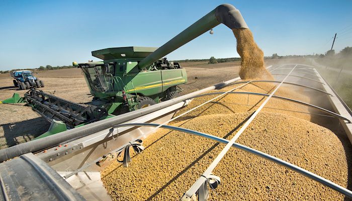Grain, feed sales bright spot in U.S. exports