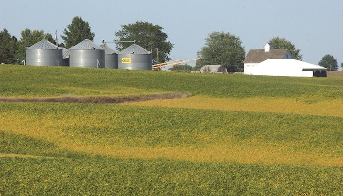 Iowa farmland values climb slightly in 2017, ISU survey shows
