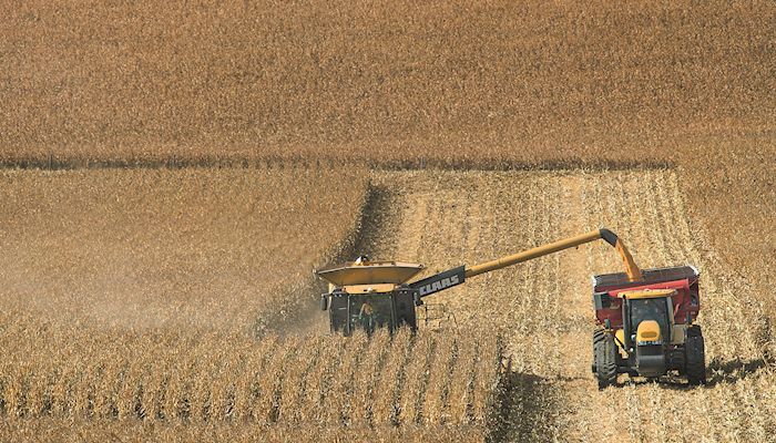 Virginia farmer hauls in record corn yield of 542 bushels