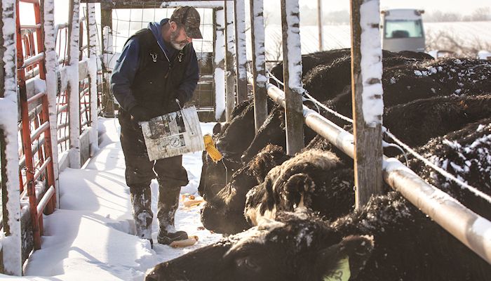 Iowans trust farmers on livestock care