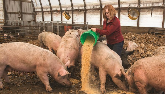 Pork leaders reflect on challenges, opportunities