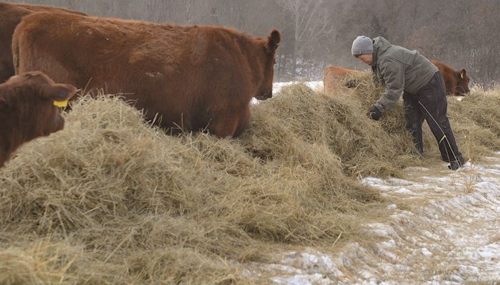 Iowa Hay Auctions - Jan. 17, 2018