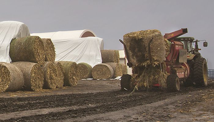 Iowa Hay Auctions - Feb. 7, 2018