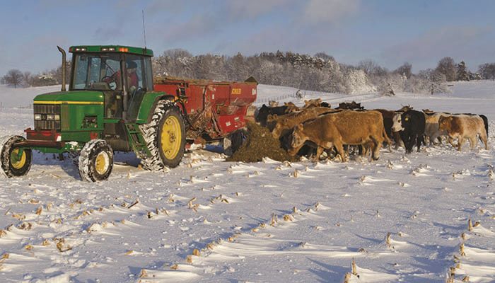 Iowa Hay Auctions - February 21, 2018