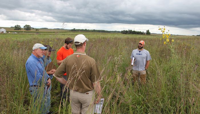 Adding butterfly habitat