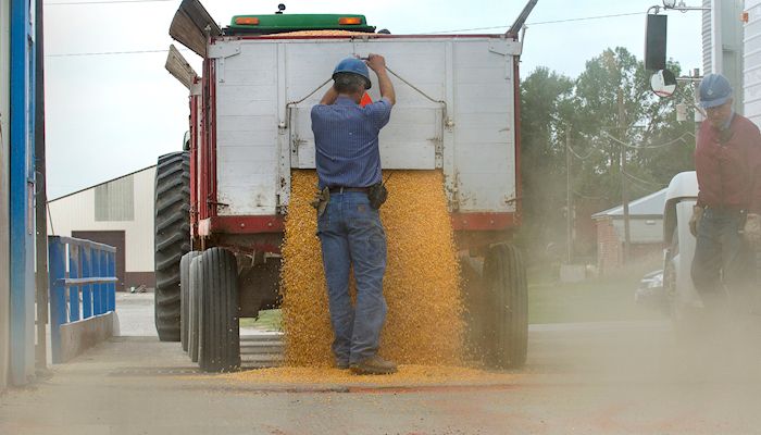 2017 Iowa average corn and soybean yields