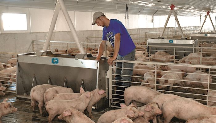 Does Iowa need changes to laws on siting livestock farms?