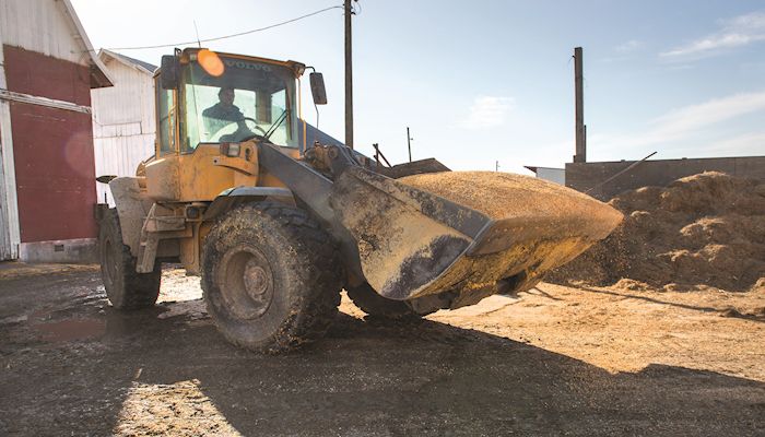 Dry conditions stunt forage growth