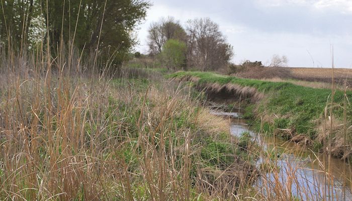 Ernst introduces CRP reform bill