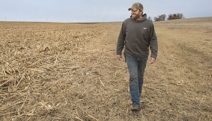 Conservation and cattle in tandem