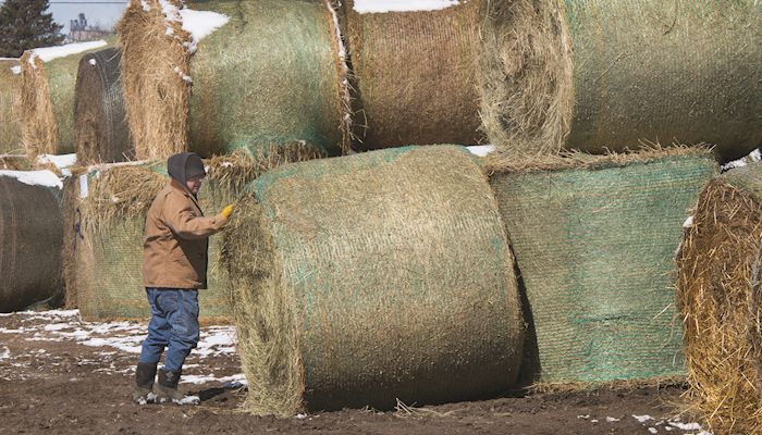 Iowa Hay Auctions - April 11, 2018