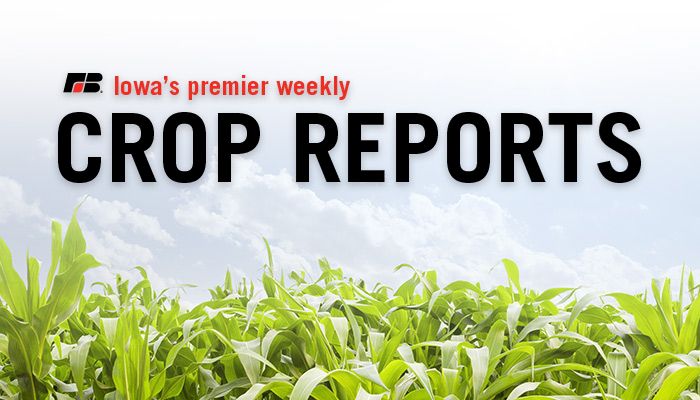 Iowa's premier weekly crop reports 4/25/2018