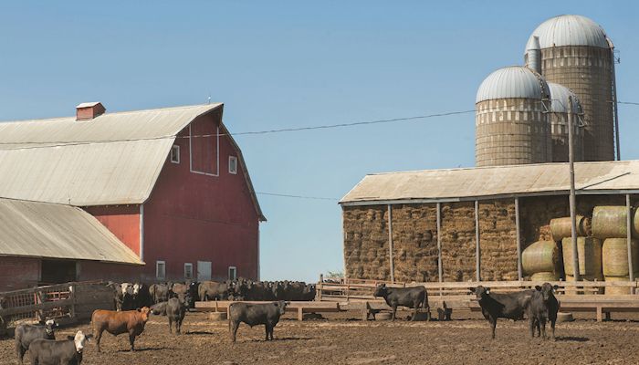 Livestock farmers are exempt from reporting emissions