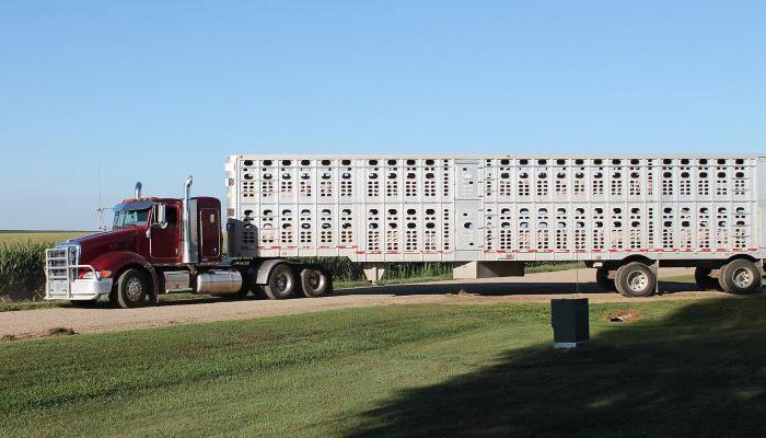 Bill provides flexibility for livestock haulers