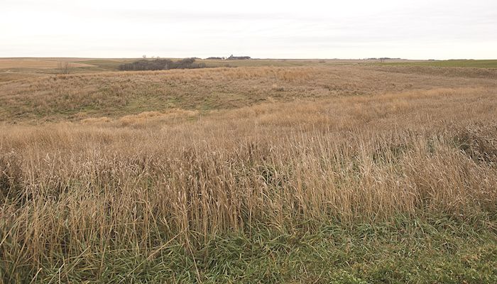 USDA reopens CRP enrollment