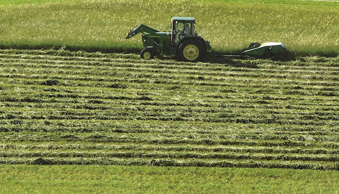 Weather, exports become factors in hay market