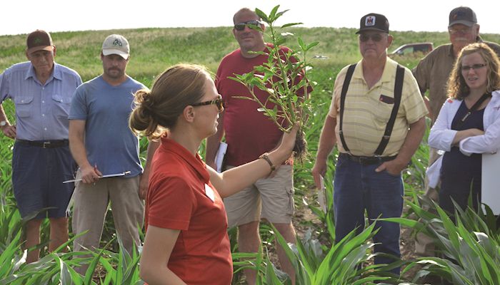 Strategies to win the war on weeds