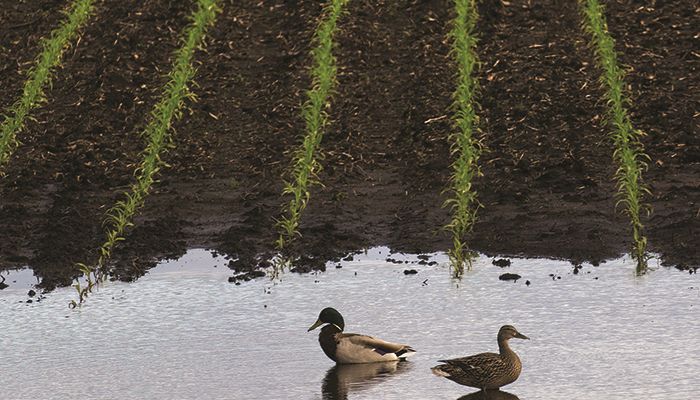 Rain slams parts of Iowa