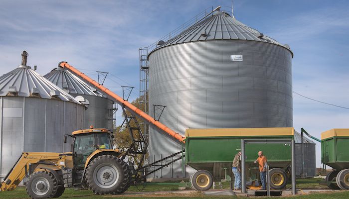 Corn, soybean stockpiles growing