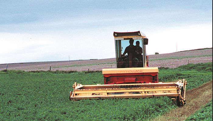 Iowa Hay Auctions - July 18, 2018