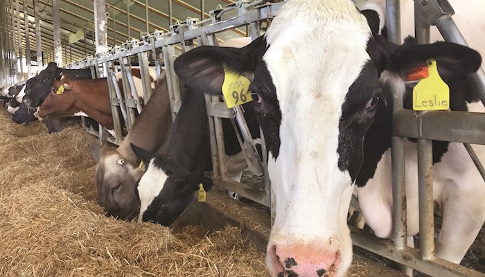 CME Class III Milk Futures - July 18, 2018