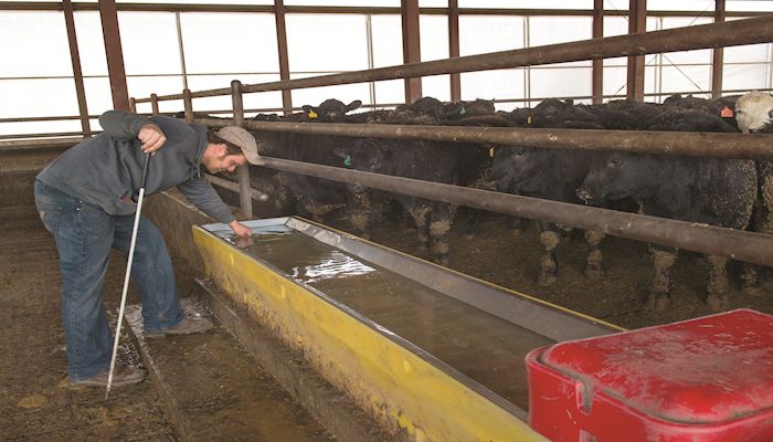 USDA offers drought relief assistance for southern Iowa livestock producers