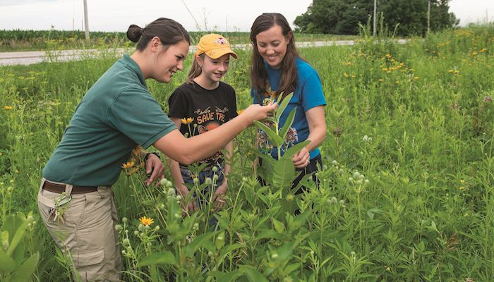 Pitching in to create monarch habitat