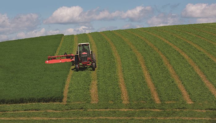 Iowa Hay Auctions - August 1, 2018