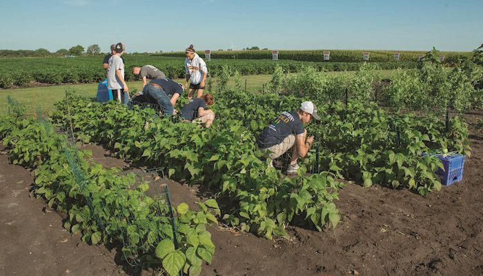 Growing food and giving back