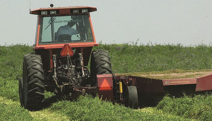 Iowa Hay Auctions - Aug. 8, 2018