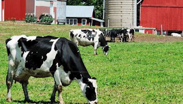 CME Class III Milk Futures - Aug. 8, 2018