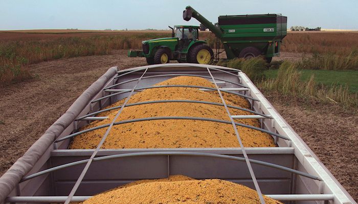 Estimating corn yield potential