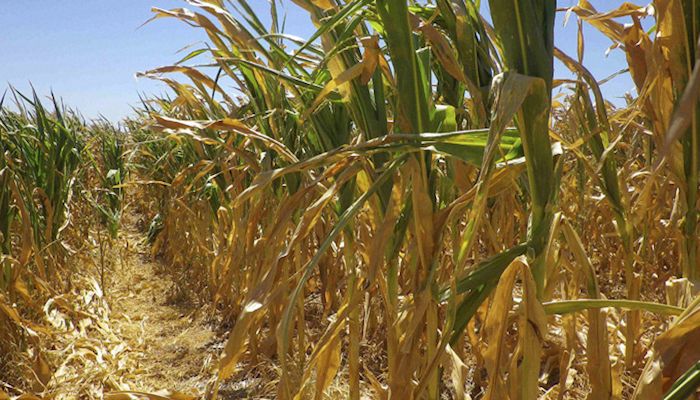 Drought extends its grip on southern iowa