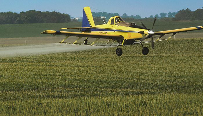 Fall burn-down can help control tough weeds