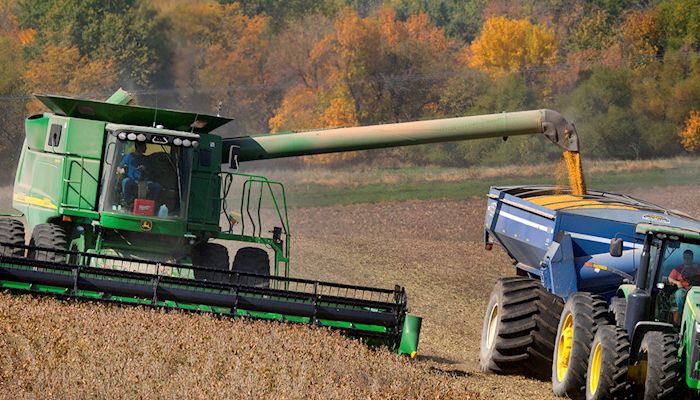 Expectations of big harvest weight on crop prices