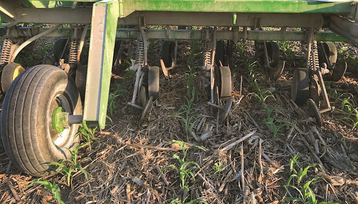 Early cover crop seeding