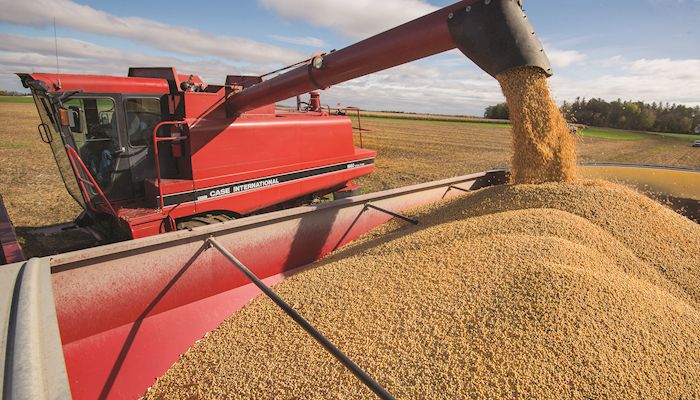 Iowa Corn & Soybean Basis - Aug. 29, 2018