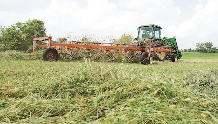 Iowa Hay Auctions - Aug. 29, 2018