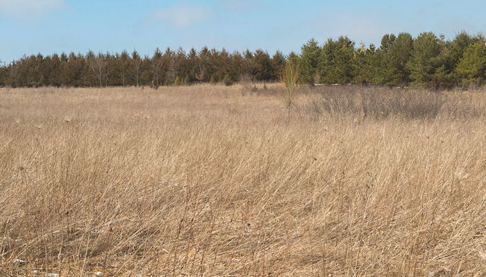 CRP haying allowed in more counties