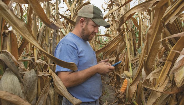 Drought grips farms in southern Iowa 