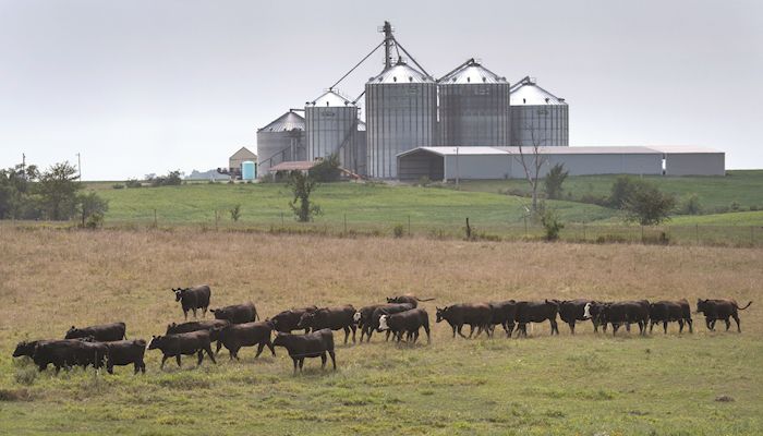 Summer drought depletes pastures, ponds