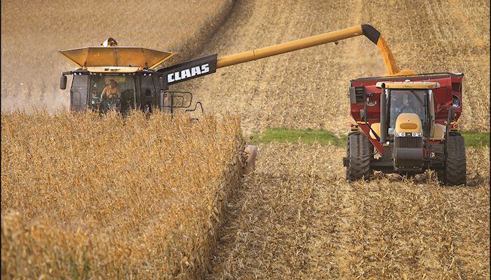 USDA finds big crop is getting bigger
