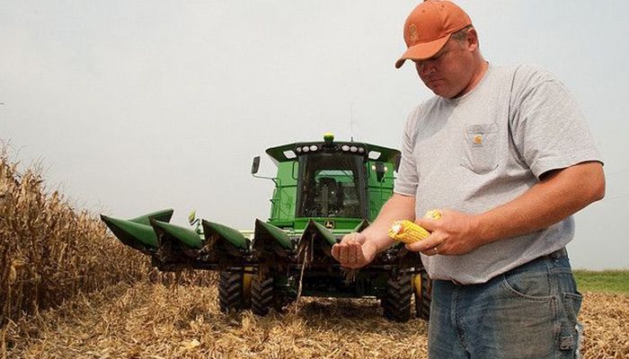 Farming Beyond the Fences