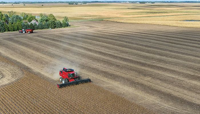 Soybean harvest