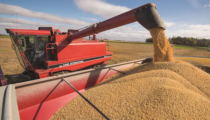 Higher soybean yields expected