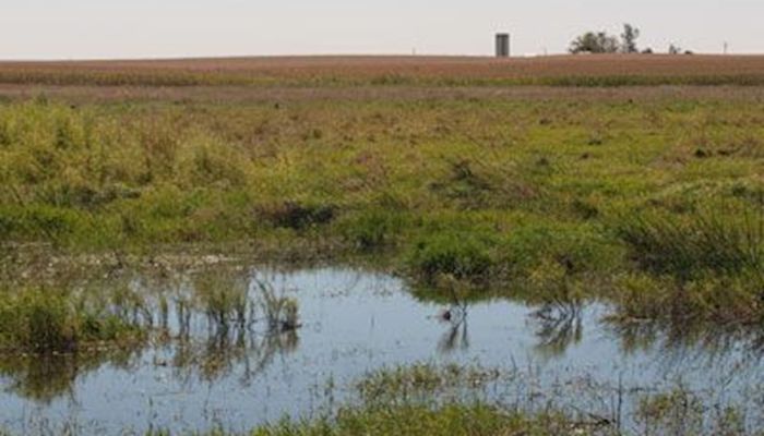 Iowa watersheds targeted for conservation funds